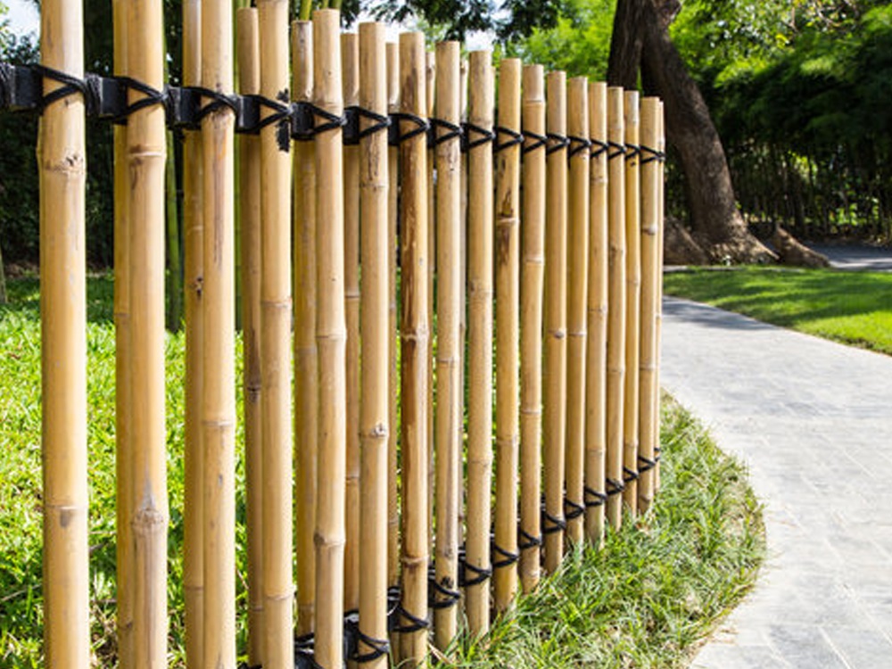 Bamboo Railing in Noida