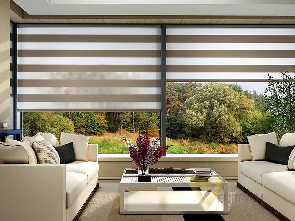 Zebra Blinds in Noida